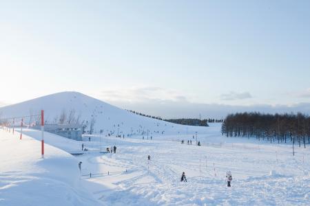 札幌国際芸術祭2027 モエレ沼公園会場で展示する3組が