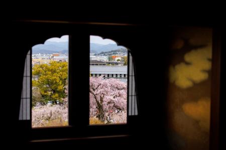 【ホテル長楽館】京都・円山公園の桜景色を特等席で望