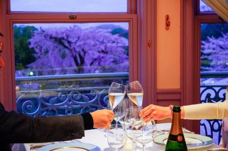 【ホテル長楽館｜LE CHENE】円山公園の桜を臨む「夜桜