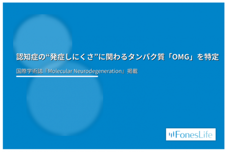 認知症の“発症しにくさ”に関わるタンパク質「OMG」を 認知症の“発症しにくさ”に関わるタンパク質「OMG」を