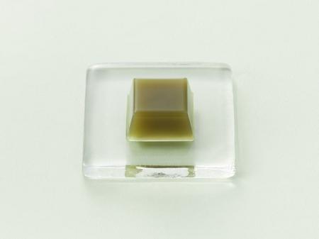 【とらやNEWS】新緑の季節におすすめの、お茶をutf-8