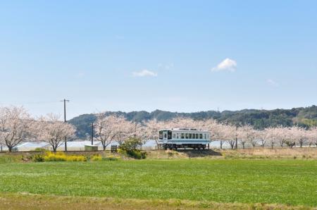 富士山静岡空港と浜松・浜名湖ツーリズムビューロー連