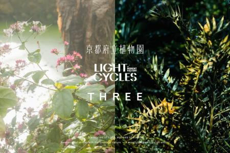 THREEが日本最古の公立植物園「京都府立植物園」とア THREEが日本最古の公立植物園「京都府立植物園」とア