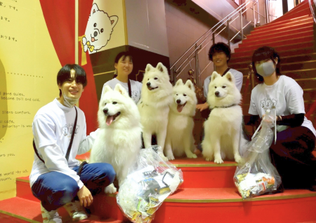 サモエドカフェmoffu、大阪心斎橋で散歩＆クリーンア