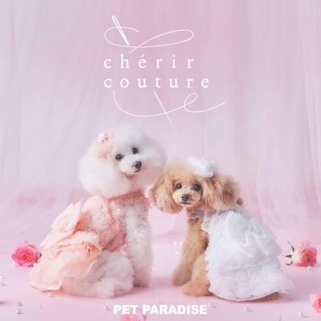 愛犬との春を華やかに彩る新ラインアップ 「ペット 愛犬との春を華やかに彩る新ラインアップ 「ペット