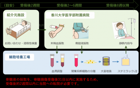 【香川大学】再生医療で希望の光を！―中四国初！utf-8