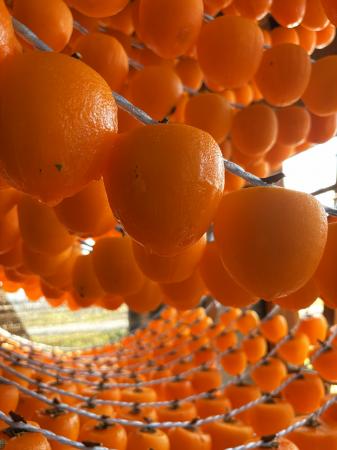 福島県・伊達市が誇る“あんぽ柿”103年の歴史が紡utf-8