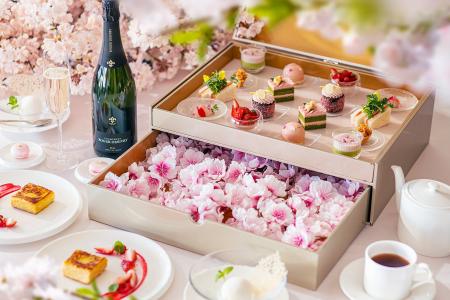 【グラングリーン大阪 パークビューのお花見アフタヌ 【グラングリーン大阪 パークビューのお花見アフタヌ