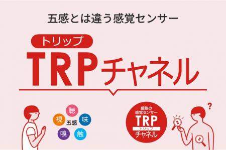 TRPチャネル研究を、もっと身近に。マンダムのTRPチャ
