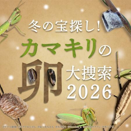 冬の”アレ”を探せ！Biomeで「カマキリの卵 大捜索2026