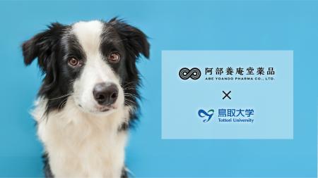 鳥取大学との共同研究により、NMNの犬への経口投与に