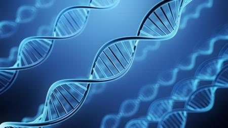 ヒロクリニックがNIPT検査結果の98％を5日以内に報告