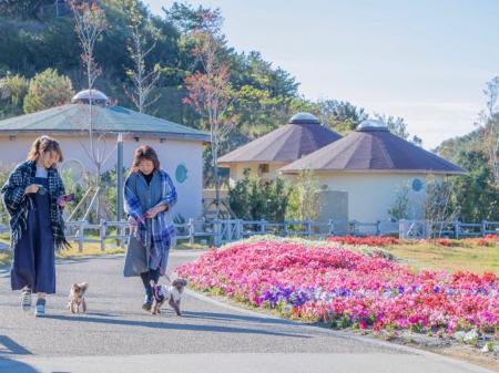 リゾート地・淡路島で愛犬と一緒に、誰にも邪魔されな