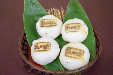 【新潟県 上越市】豊かな自然に囲まれた山里の温泉宿