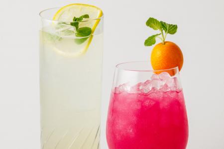 【ホテルメトロポリタン 川崎】宮崎県小林市・えびの