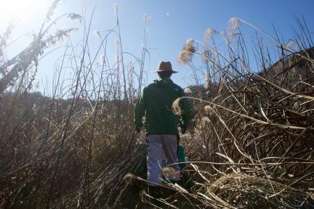 農業派遣の82Works　新たに農業生産法人の設立