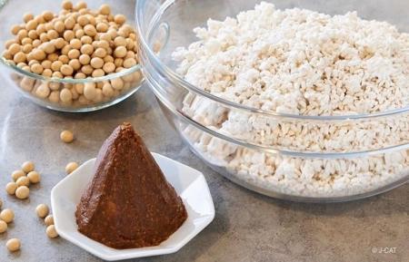 美容と健康を支えてきた発酵食に触れる、Otonamiの新