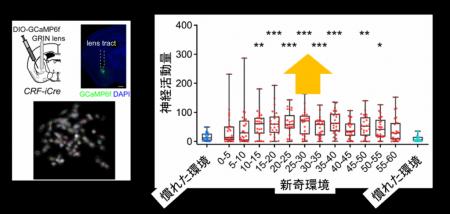 新しい環境では「眠れない」のはなぜか？生存をutf-8