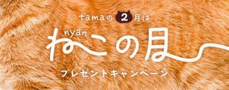 《tama》1カ月まるごと猫と楽しむ【2月は猫の月】特別 《tama》1カ月まるごと猫と楽しむ【2月は猫の月】特別