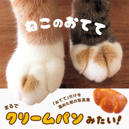 ニッチからロングセラーへ。猫の「手」だけを集めた写