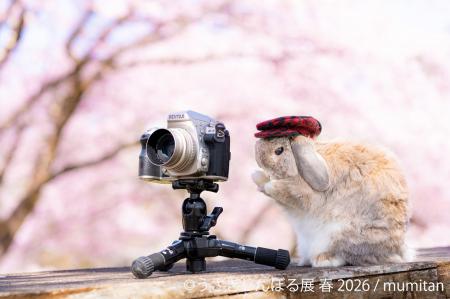 祝10周年「うさぎしんぼる展」が過去最大規模でutf-8