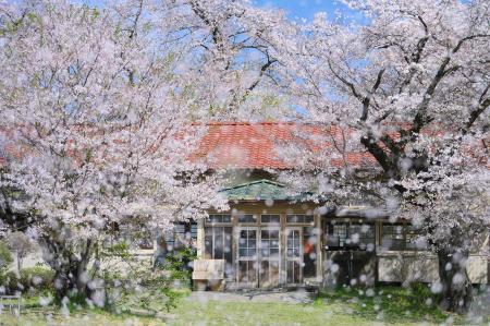 THE GALLERY企画展 深澤 武 写真展「桜」を開催 THE GALLERY企画展 深澤 武 写真展「桜」を開催