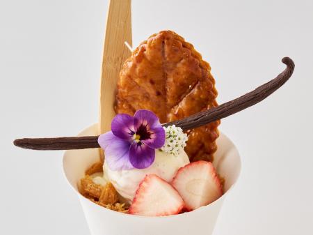 「世界らん展2026‐花と緑の祭典‐」開幕!「日本大賞」 「世界らん展2026‐花と緑の祭典‐」開幕!「日本大賞」