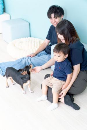 【静岡・富士市】保護犬猫ふれあいカフェ「ANELLA CAF