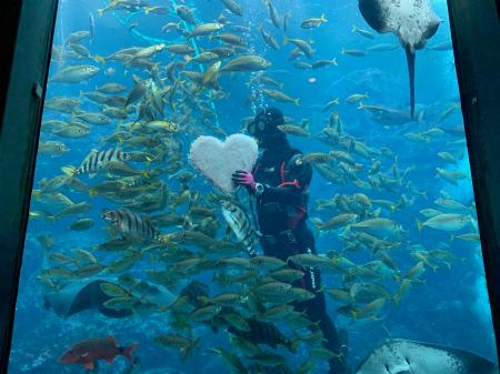 バレンタインデー・ホワイトデー特別企画　～Valentin