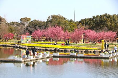 早春ハッピーフェスタ2026開催【国営海の中道海浜公園