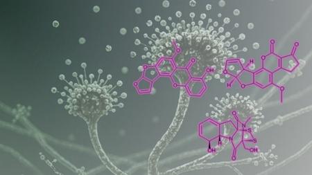 ナノイー(帯電微粒子水)技術が、人体に有害なマutf-8