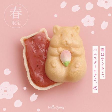 春だけの特別仕様！可愛すぎるお菓子「ハムスターモナ