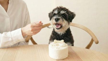 【新ブランド『Paw＆me』誕生】手作りシフォンケーキ