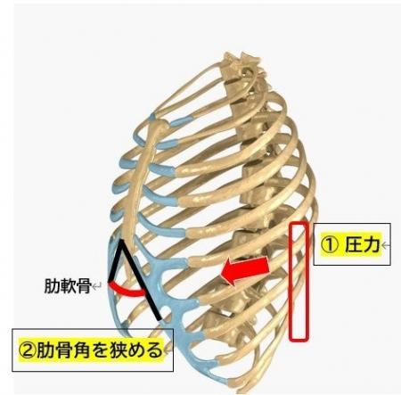 楽天ランキング「インナー・下着・ナイトウェア部門」