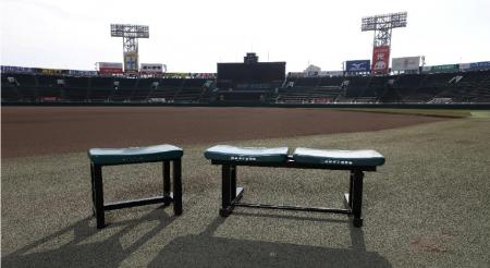 “あの熱気と歓声をいつもそばに”甲子園eモールにutf-8