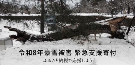 さとふる、「令和8年豪雪被害 緊急支援寄付サイト」で