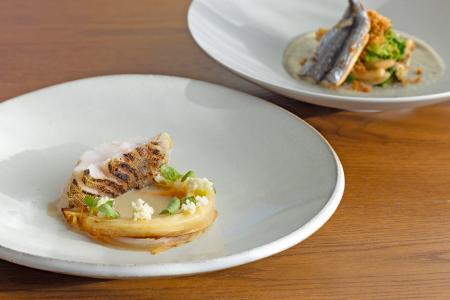 2026年3月、江の島を眺める海沿いのホテル「HOTEL AO 