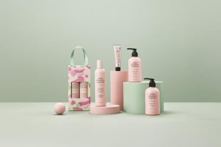 2026.2.5 debut 甘やかに桜香り、喜びで満たされて。