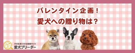 バレンタイン直前！愛犬に贈りたいギフトランキング発