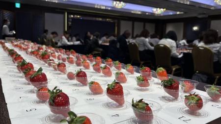 ≪第4回全国いちご選手権≫野菜ソムリエが選んだ、おい ≪第4回全国いちご選手権≫野菜ソムリエが選んだ、おい