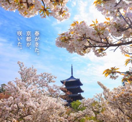 桜・椿・梅が彩る花の都、京都で心ゆくまで花を愛でる 桜・椿・梅が彩る花の都、京都で心ゆくまで花を愛でる