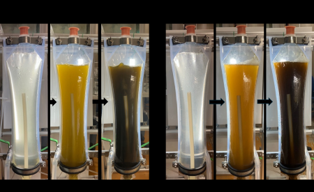 アルヌール、TOKYOでパブロバ等の微細藻類を培養