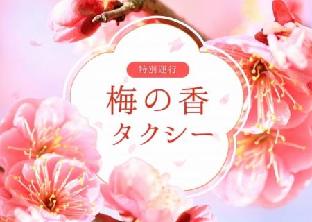 日本交通・東京観光タクシーで、ひと足早い“お花見”を 日本交通・東京観光タクシーで、ひと足早い“お花見”を