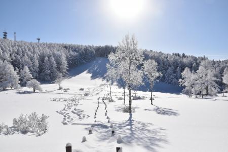 長野・富士見町｜スキーと入笠山スノートレッキング、