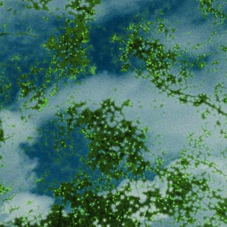 CreativeDrugStore が「残像 16FLIP Remix」をリリー