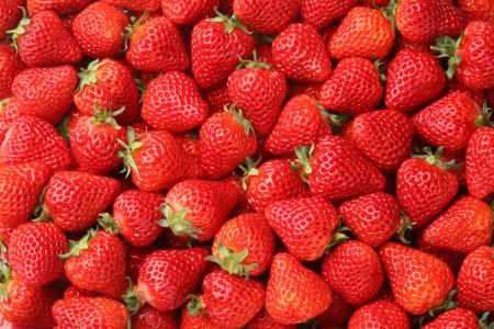 【新宿高島屋】いまが旬のおいしい「いちご」が、９つ