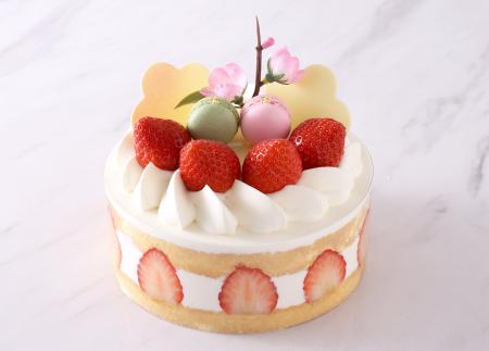 ベルギー王室御用達チョコレートブランド「ヴィタメー