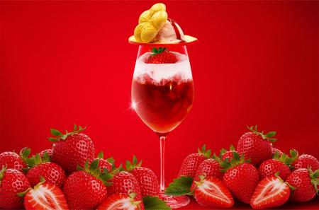 梅酒カクテル専門店「The CHOYA（ザ チョーヤ）銀座BA