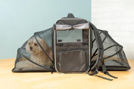 普段のお出かけが、そのまま“もしもの備え”に。日常使