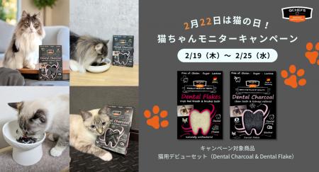 【2月22日は猫の日